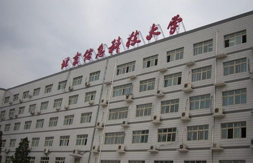 青春奉獻，科技賦能——記北京信息科技大學青年志愿者協會的信息技術咨詢志愿服務